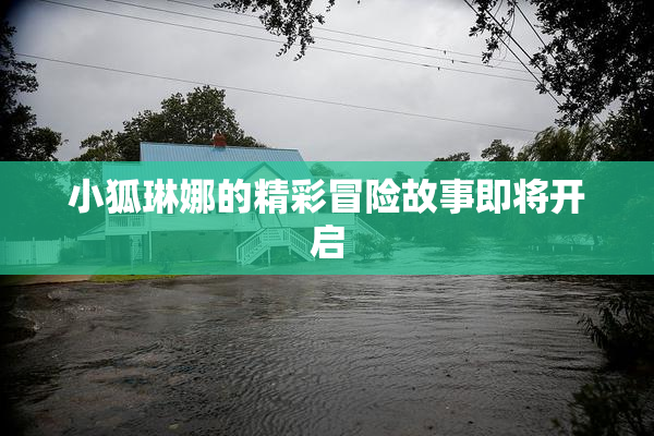 小狐琳娜的精彩冒险故事即将开启