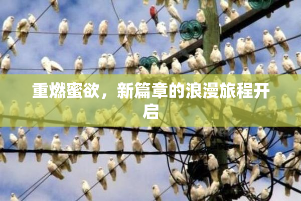重燃蜜欲，新篇章的浪漫旅程开启