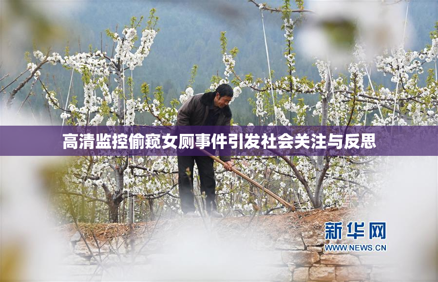高清监控偷窥女厕事件引发社会关注与反思