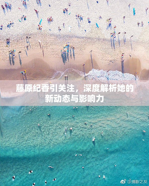藤原纪香引关注，深度解析她的新动态与影响力