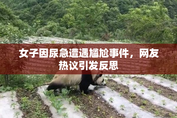 女子因尿急遭遇尴尬事件，网友热议引发反思