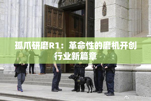 孤爪研磨R1：革命性的磨机开创行业新篇章