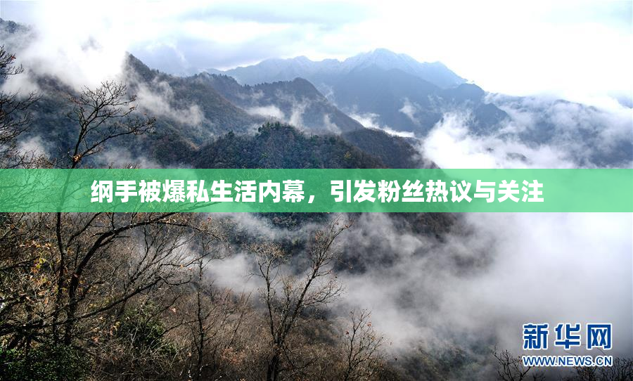 纲手被爆私生活内幕，引发粉丝热议与关注