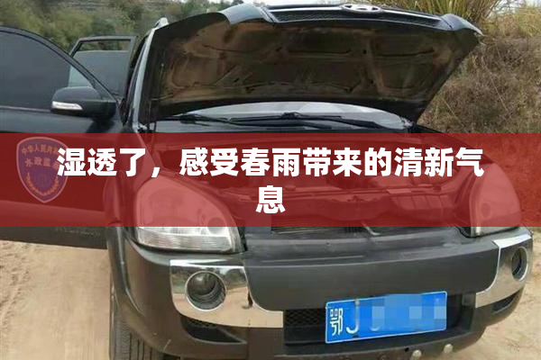 湿透了，感受春雨带来的清新气息
