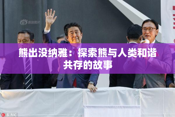 熊出没纳雅：探索熊与人类和谐共存的故事