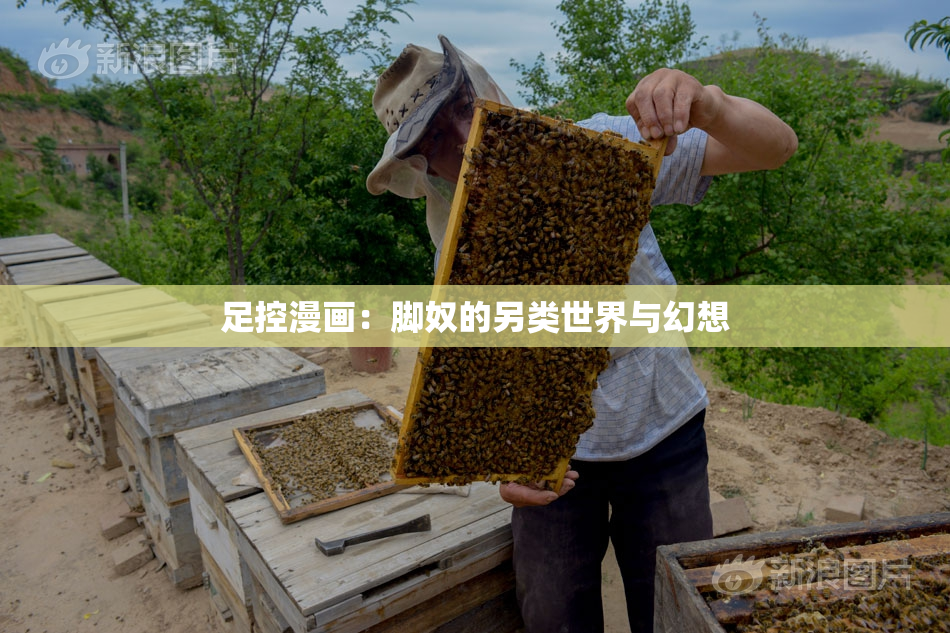 足控漫画：脚奴的另类世界与幻想