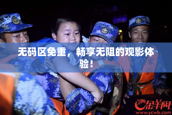 无码区免重，畅享无阻的观影体验！