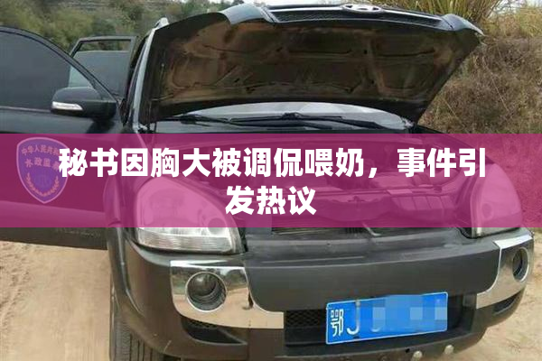 秘书因胸大被调侃喂奶，事件引发热议