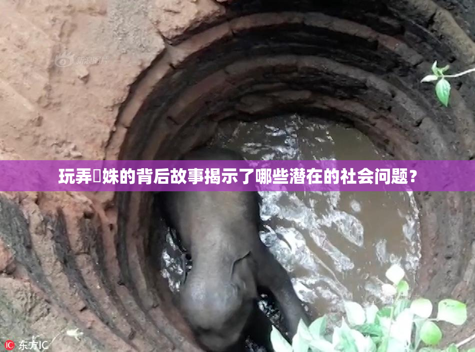 玩弄妺姝的背后故事揭示了哪些潜在的社会问题？
