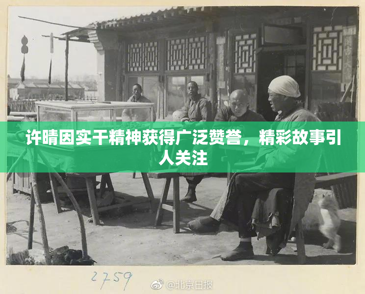 许晴因实干精神获得广泛赞誉，精彩故事引人关注