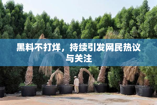 黑料不打烊，持续引发网民热议与关注