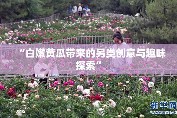 “白嫩黄瓜带来的另类创意与趣味探索”