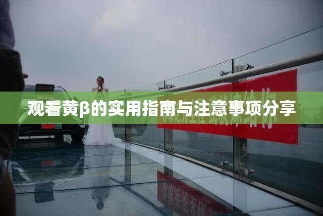 观看黄β的实用指南与注意事项分享