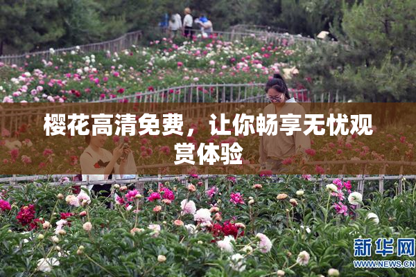 樱花高清免费，让你畅享无忧观赏体验