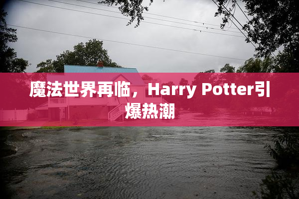 魔法世界再临，Harry Potter引爆热潮