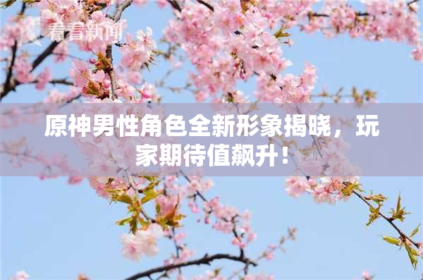 原神男性角色全新形象揭晓，玩家期待值飙升！