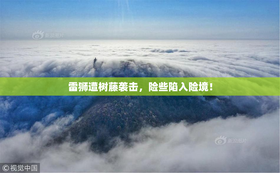 雷狮遭树藤袭击，险些陷入险境！