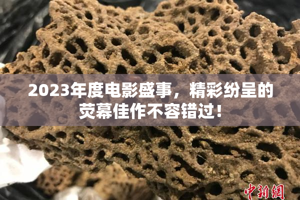 2023年度电影盛事，精彩纷呈的荧幕佳作不容错过！