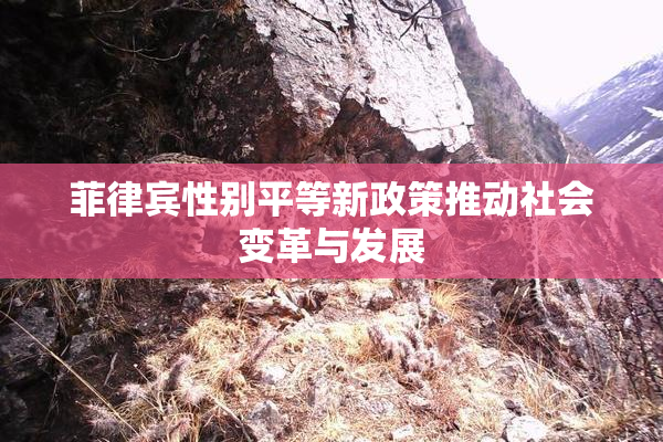 菲律宾性别平等新政策推动社会变革与发展