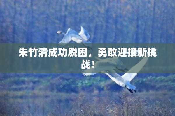 朱竹清成功脱困，勇敢迎接新挑战！