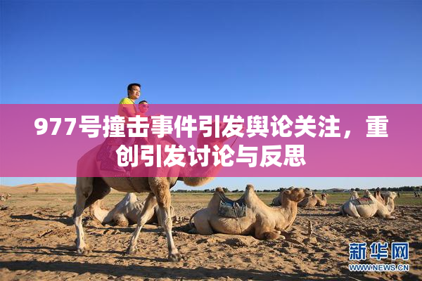 977号撞击事件引发舆论关注，重创引发讨论与反思