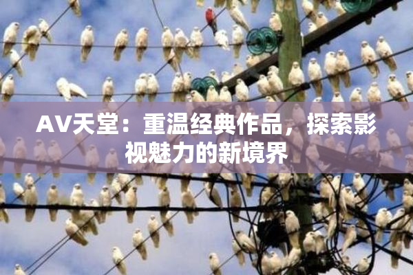 AV天堂：重温经典作品，探索影视魅力的新境界