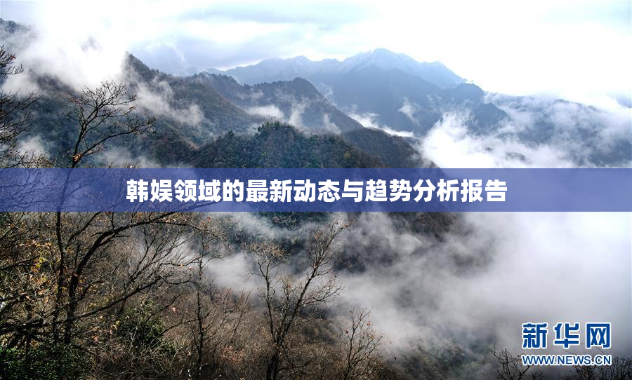 韩娱领域的最新动态与趋势分析报告