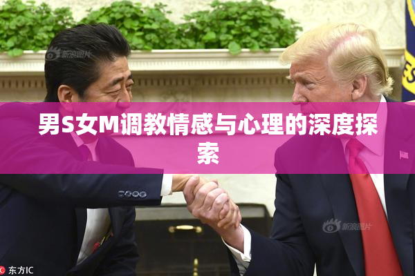 男S女M调教情感与心理的深度探索