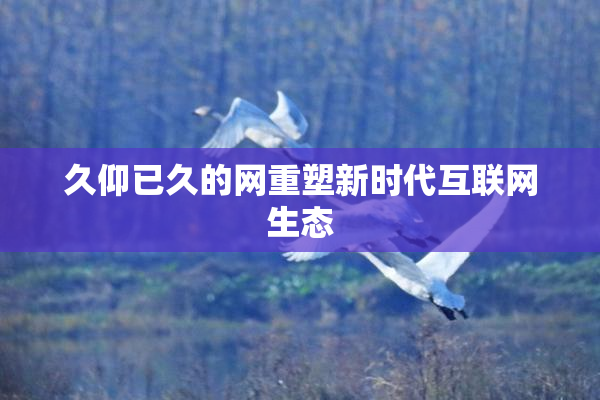 久仰已久的网重塑新时代互联网生态