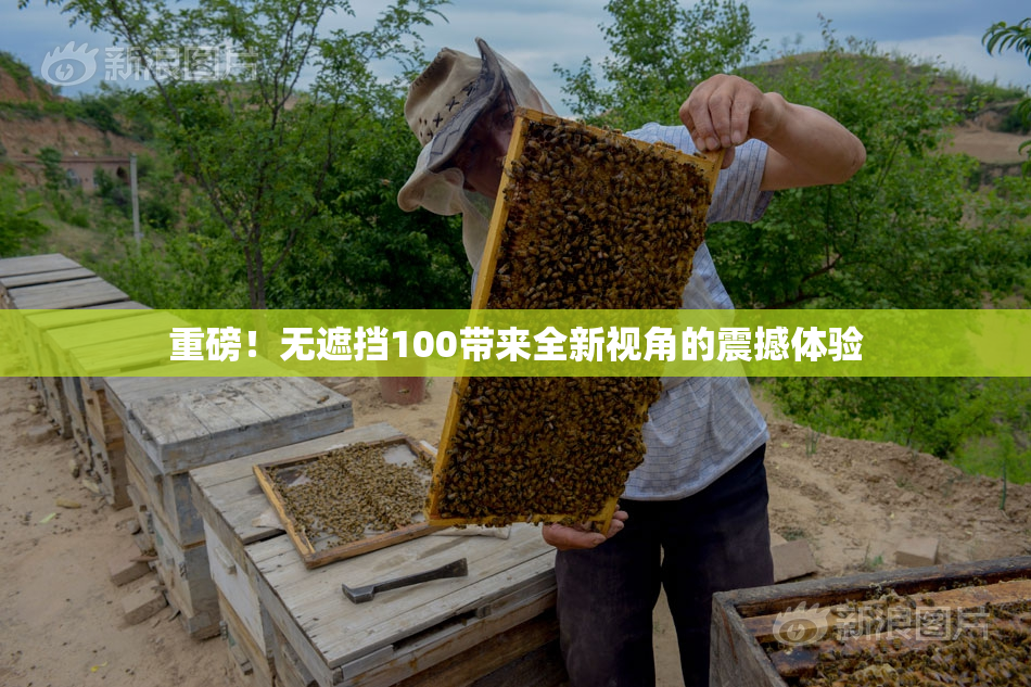 重磅！无遮挡100带来全新视角的震撼体验