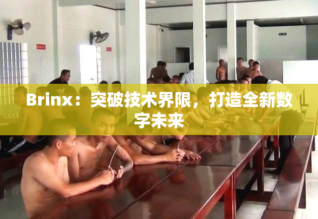 Brinx：突破技术界限，打造全新数字未来