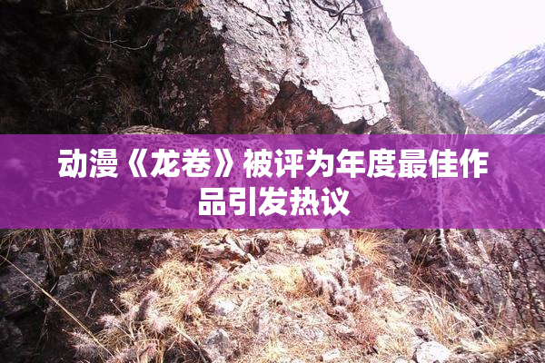 动漫《龙卷》被评为年度最佳作品引发热议