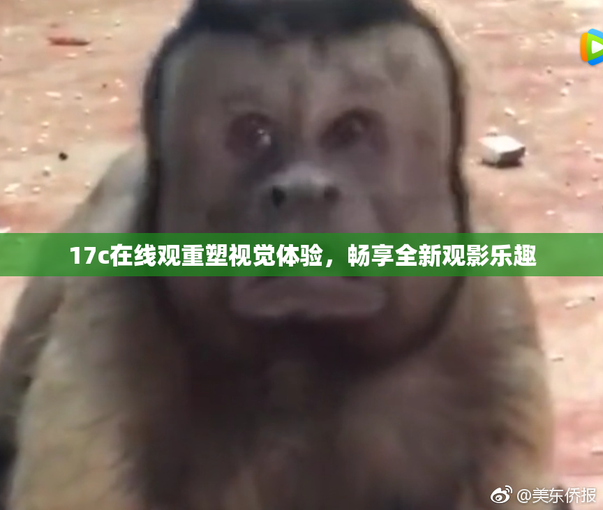 17c在线观重塑视觉体验，畅享全新观影乐趣