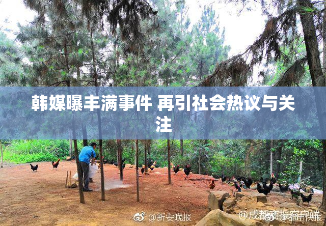 韩媒曝丰满事件 再引社会热议与关注