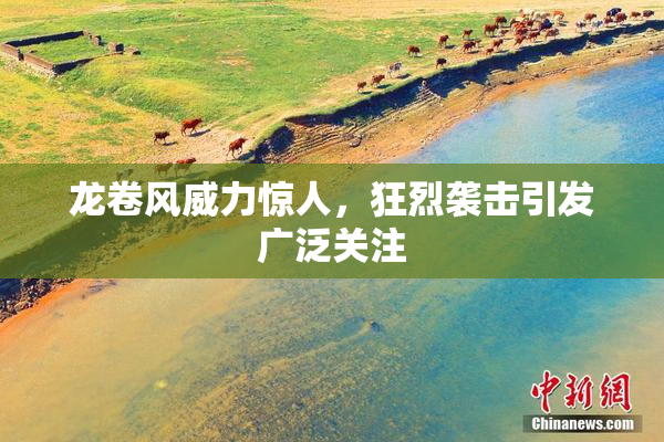 龙卷风威力惊人，狂烈袭击引发广泛关注