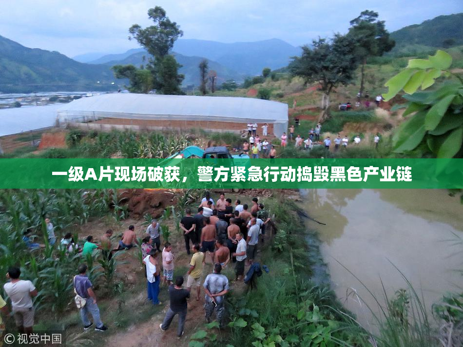 一级A片现场破获，警方紧急行动捣毁黑色产业链