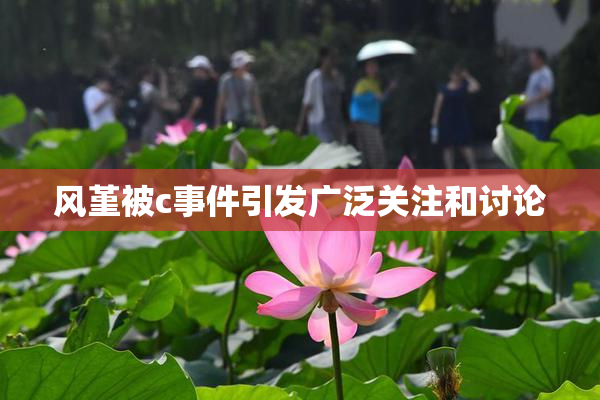 风堇被c事件引发广泛关注和讨论