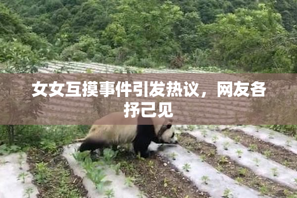 女女互摸事件引发热议，网友各抒己见