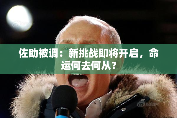 佐助被调：新挑战即将开启，命运何去何从？