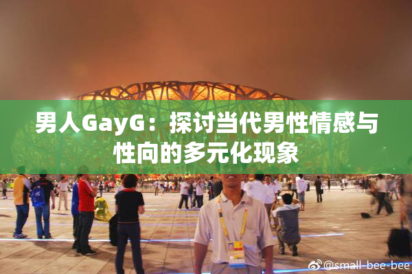 男人GayG：探讨当代男性情感与性向的多元化现象