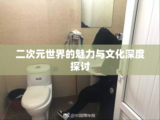二次元世界的魅力与文化深度探讨