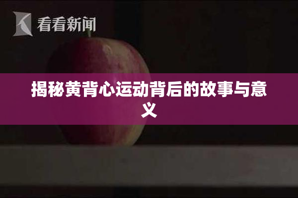 揭秘黄背心运动背后的故事与意义