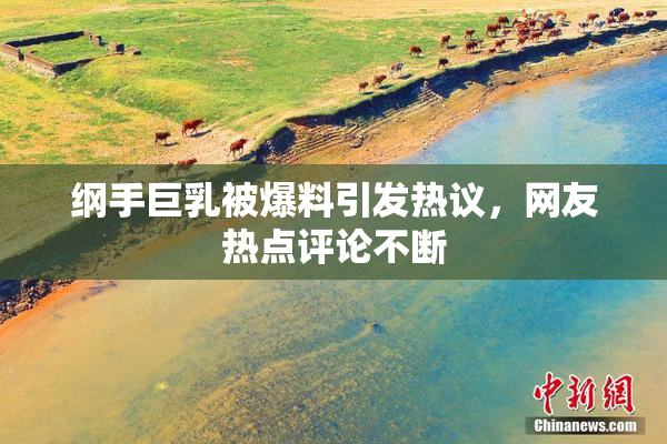 纲手巨乳被爆料引发热议，网友热点评论不断