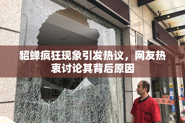 貂蝉疯狂现象引发热议，网友热衷讨论其背后原因