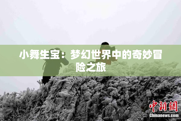 小舞生宝：梦幻世界中的奇妙冒险之旅