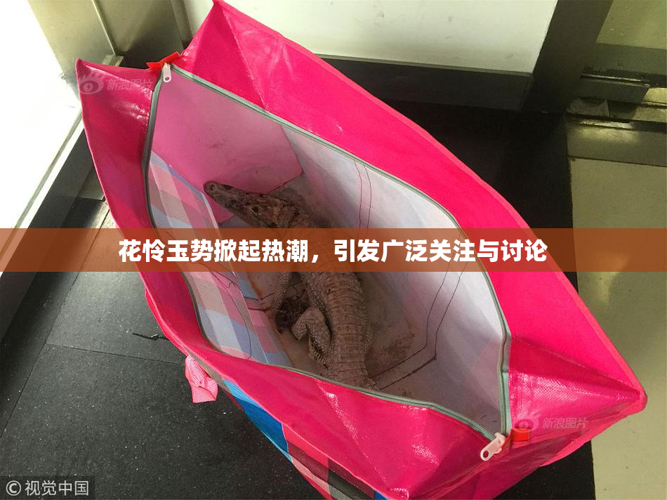 花怜玉势掀起热潮，引发广泛关注与讨论