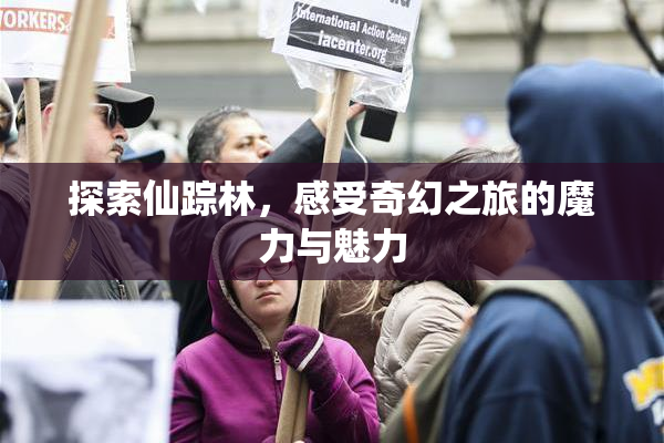 探索仙踪林，感受奇幻之旅的魔力与魅力
