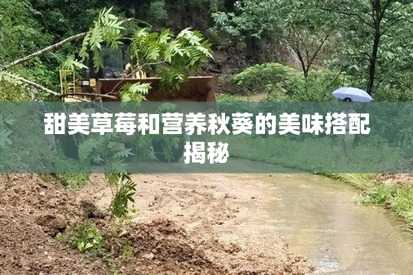 甜美草莓和营养秋葵的美味搭配揭秘