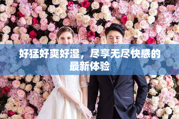好猛好爽好湿，尽享无尽快感的最新体验