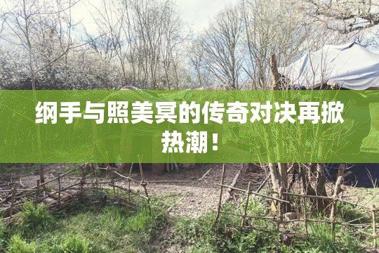 纲手与照美冥的传奇对决再掀热潮！